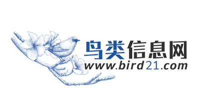 鸟类信息网LOGO