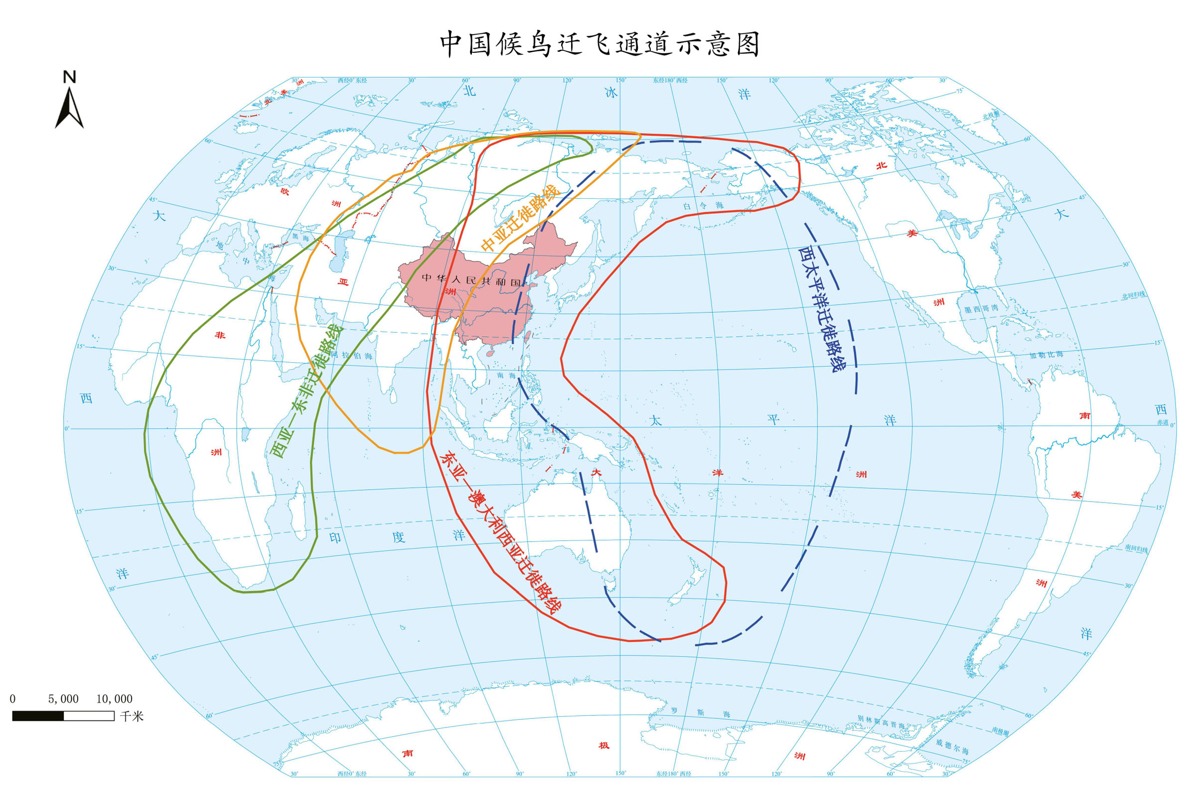 中国候鸟迁飞通道示意图