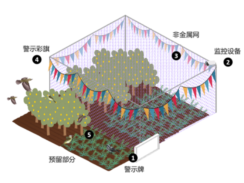 广东省林业局发布农林渔业生态友好型防鸟网推荐使用指引（试行）