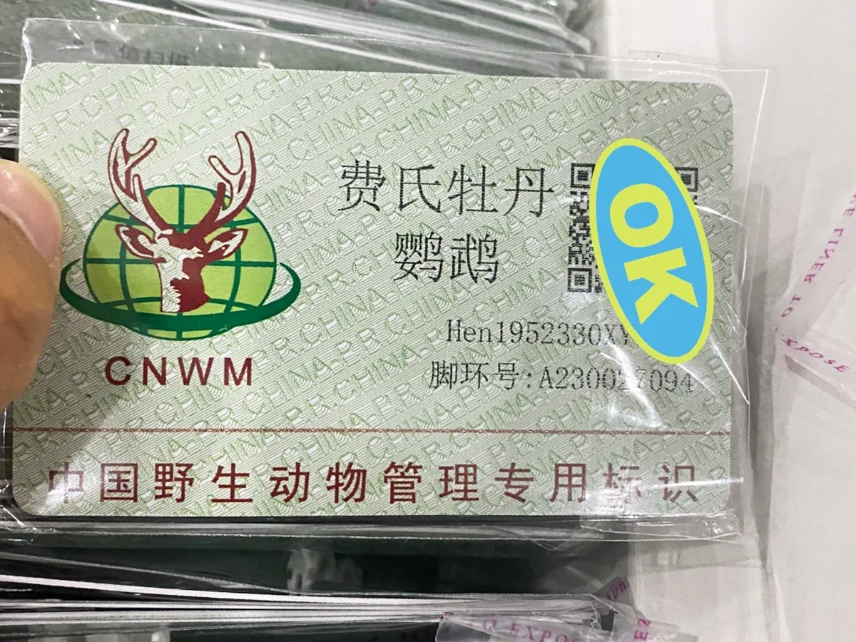 费氏牡丹鹦鹉专用标识