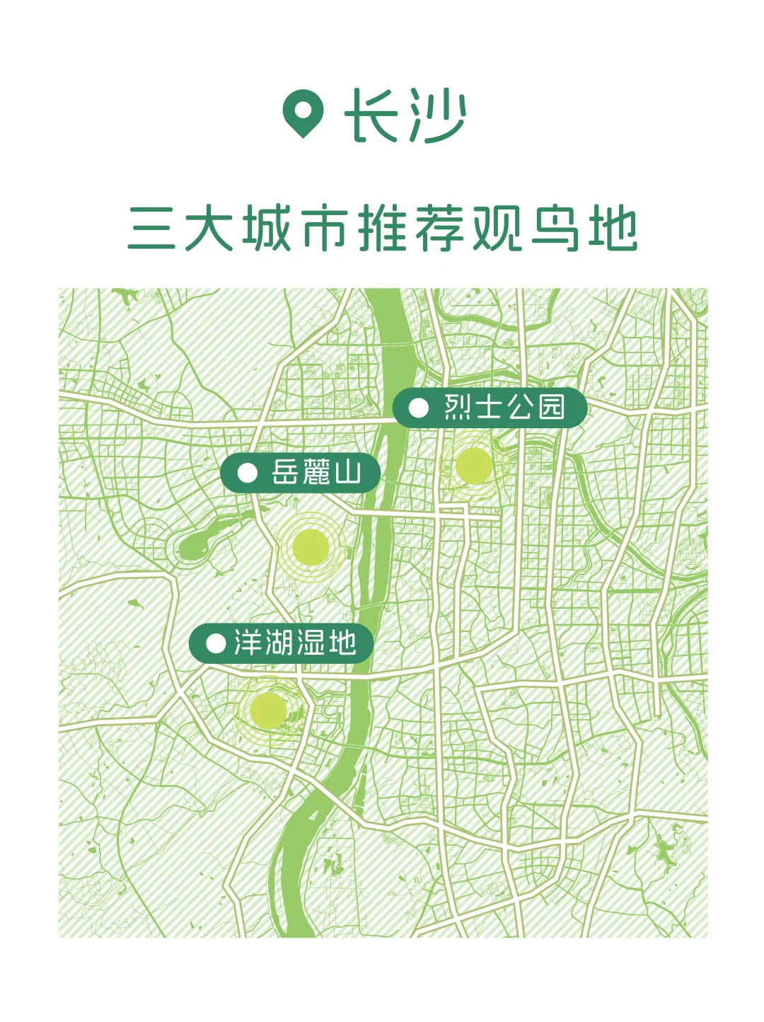 长沙三大城市观鸟地