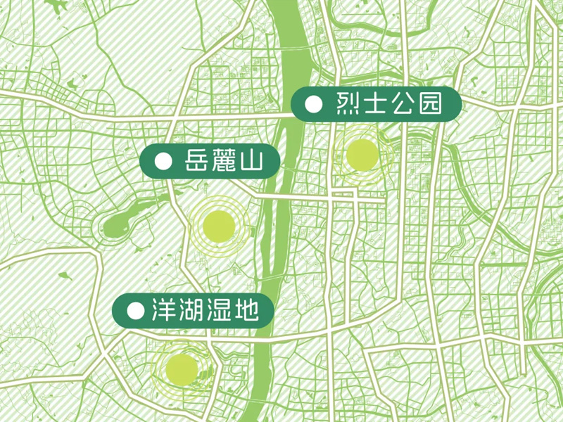 长沙观鸟地推荐与观鸟指南
