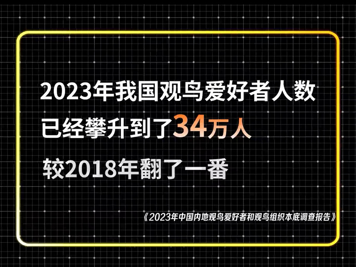 我国观鸟爱好者人数
