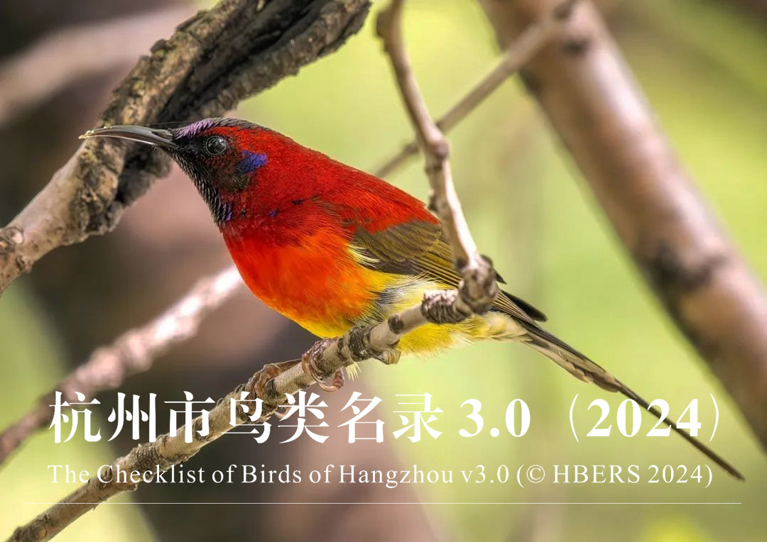 杭州市鸟类名录3.0版(2024)