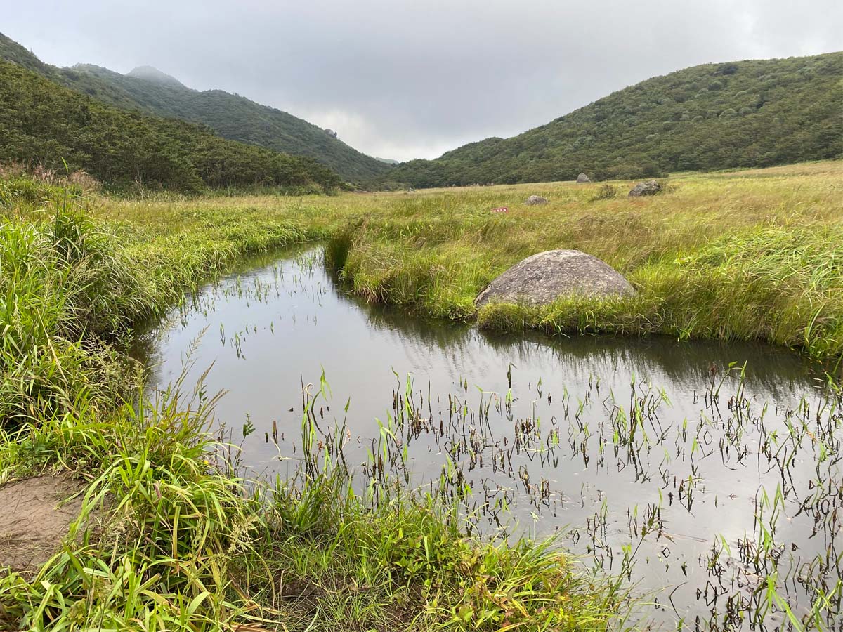 大围山浏阳河源头鸟叫声