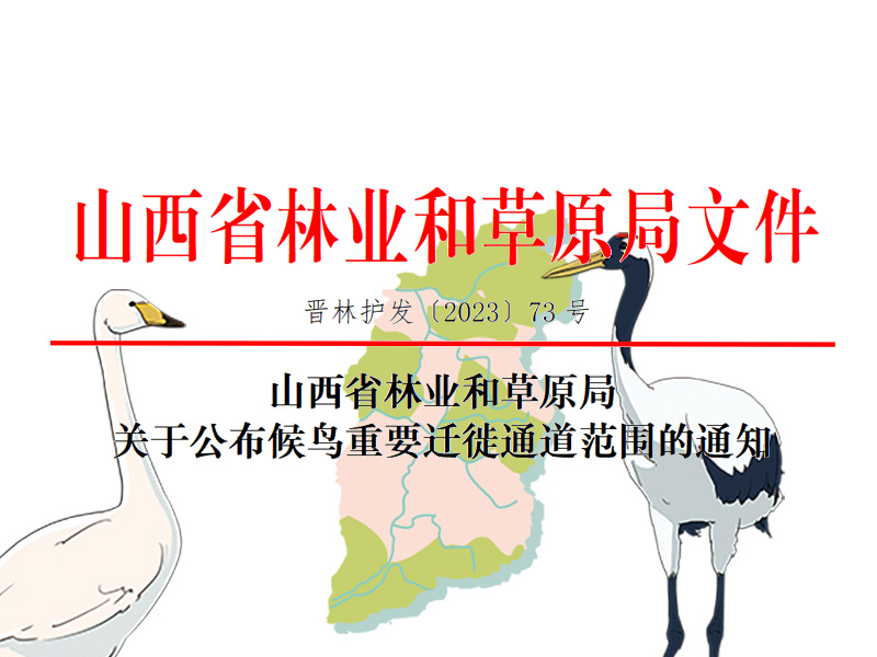 山西省林业和草原局关于公布候鸟重要迁徙通道范围的通知