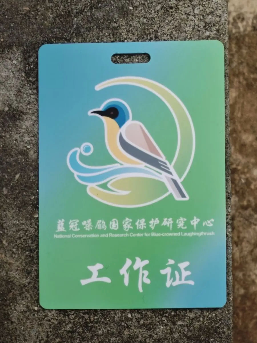 蓝冠噪鹛国家保护研究中心工作证