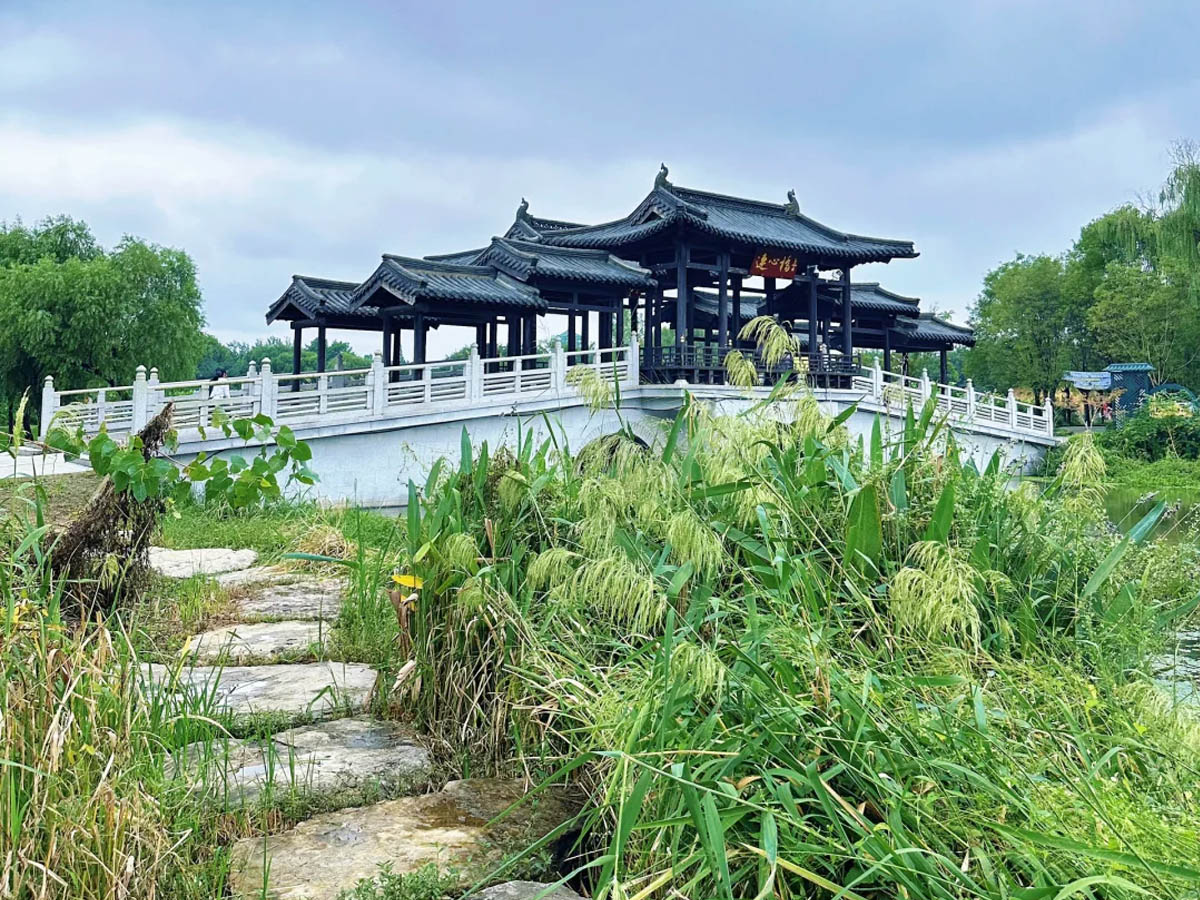 扬州凤凰岛湿地公园